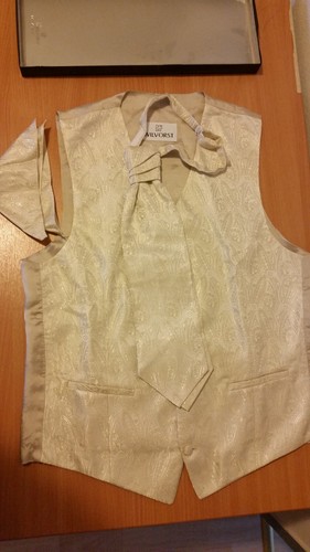 Wilvorst weste mit plastron - wilvorst,